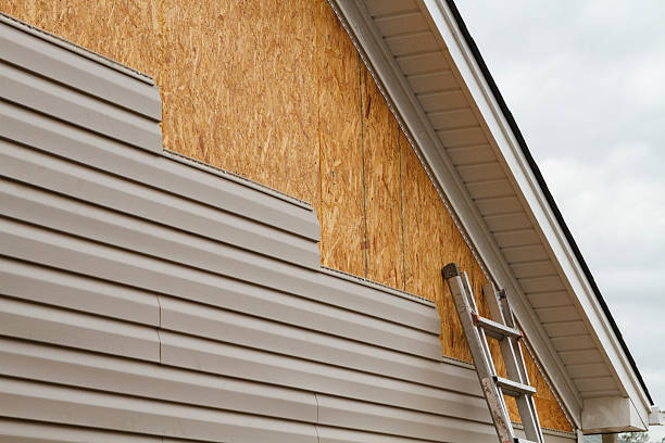 Professional Siding Repair technician working in Newport, NC